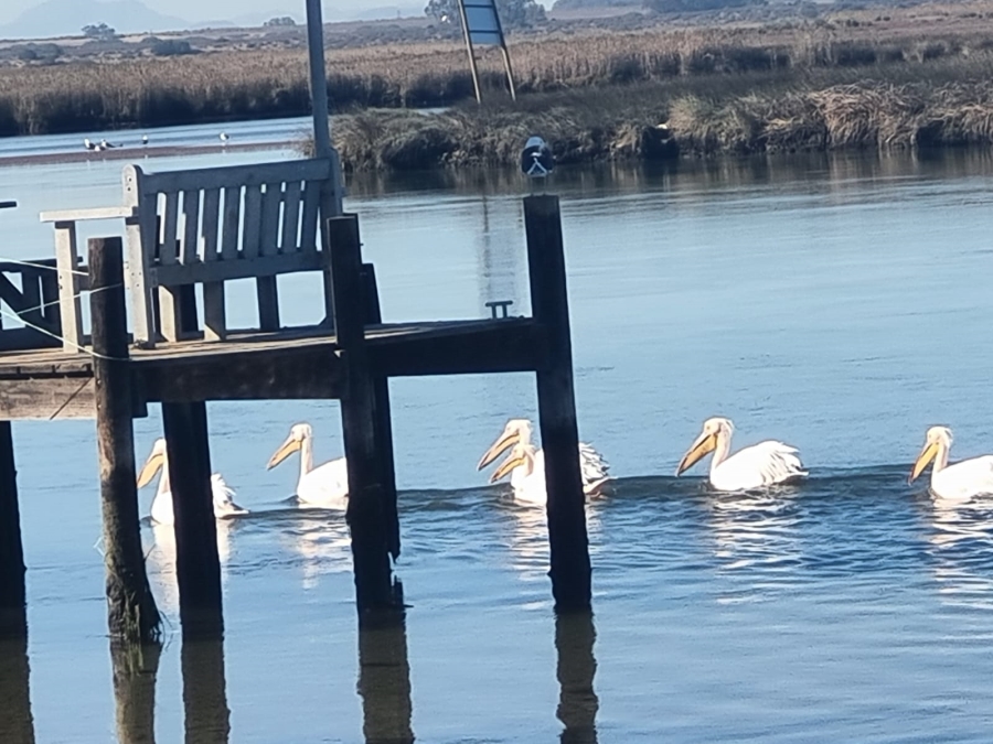 0 Bedroom Property for Sale in Laaiplek Western Cape